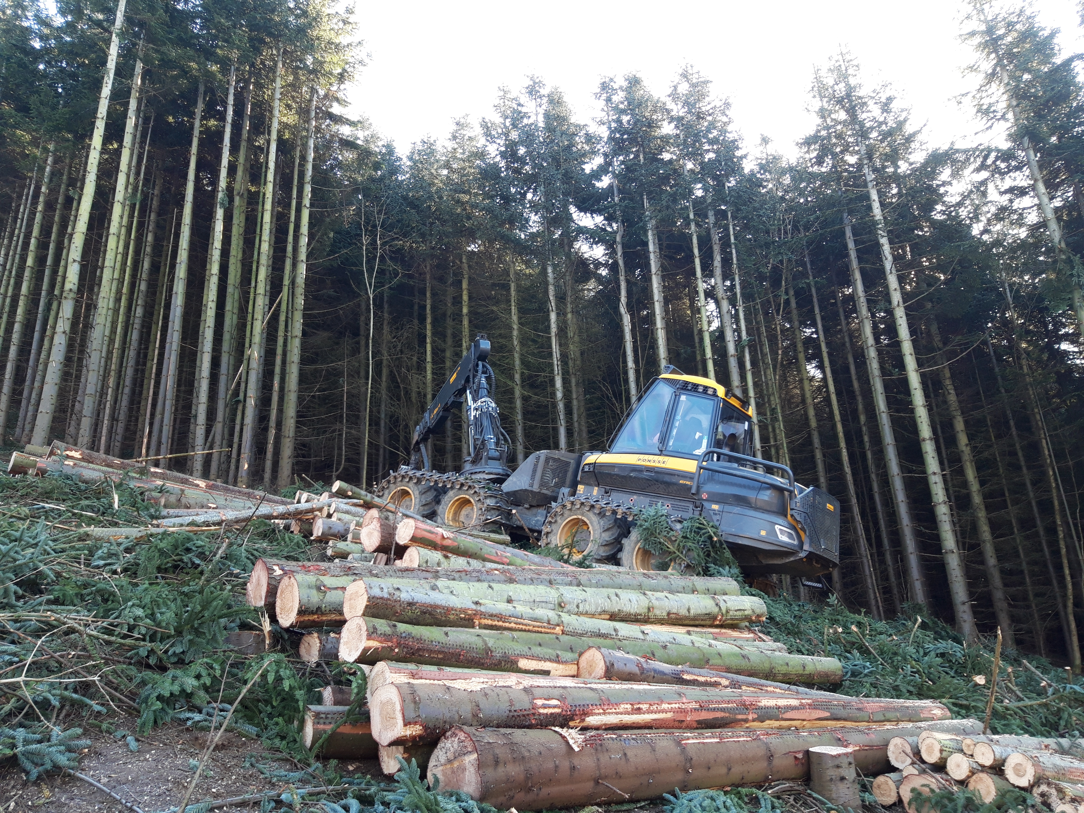 Timber Harvesting UK